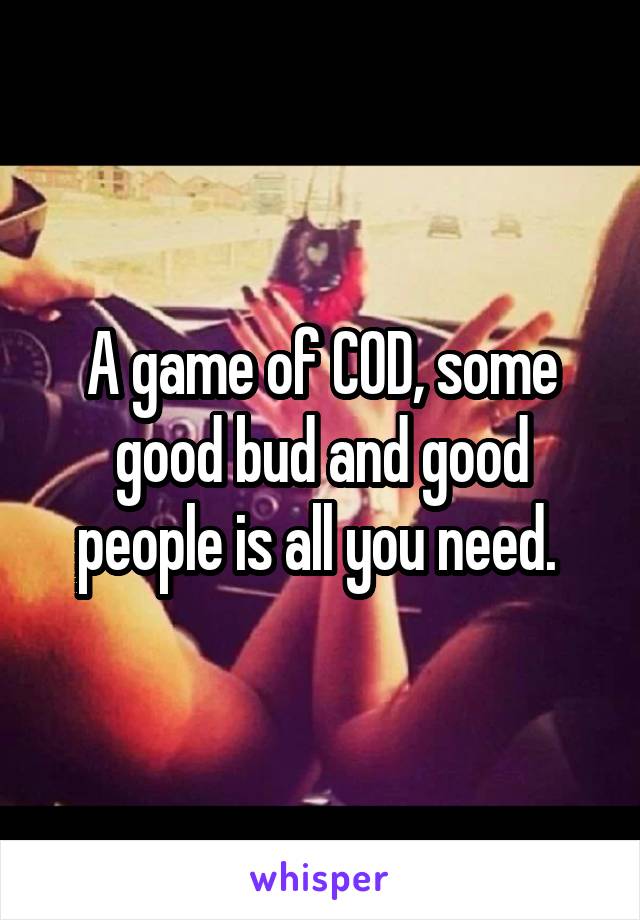 A game of COD, some good bud and good people is all you need. 