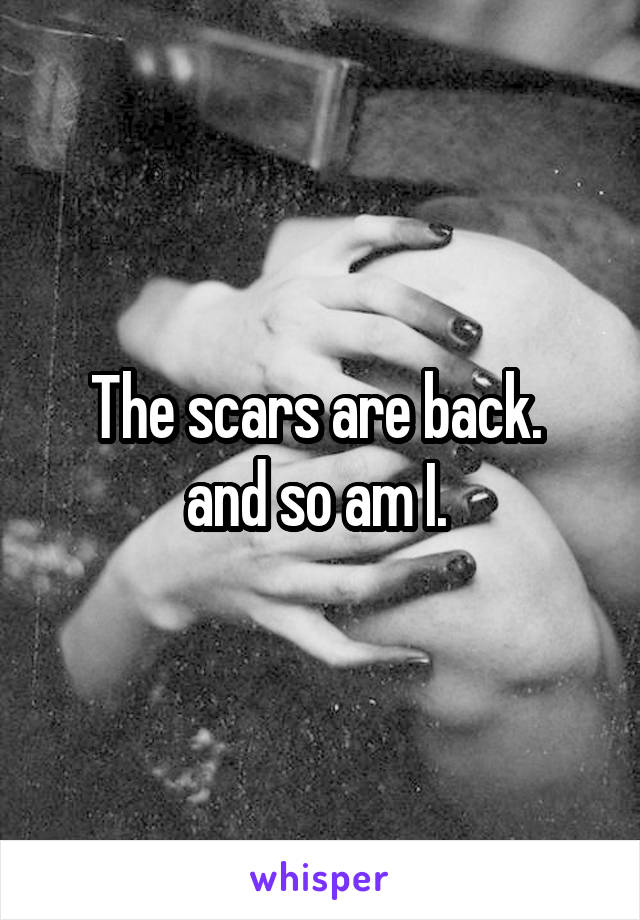 The scars are back. 
and so am I. 