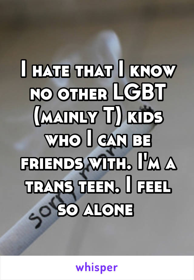 I hate that I know no other LGBT (mainly T) kids who I can be friends with. I'm a trans teen. I feel so alone 