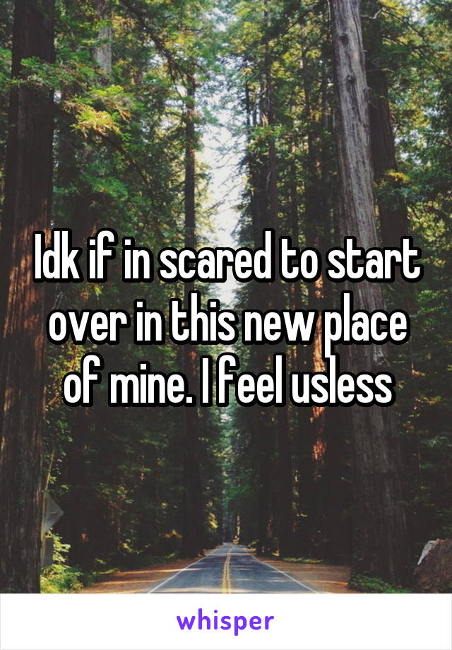 Idk if in scared to start over in this new place of mine. I feel usless