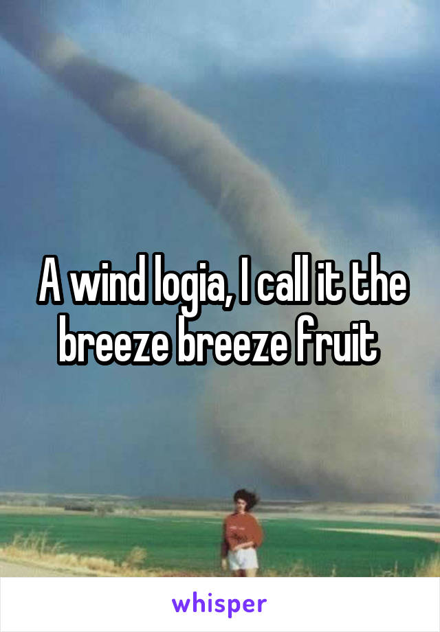 A wind logia, I call it the breeze breeze fruit 