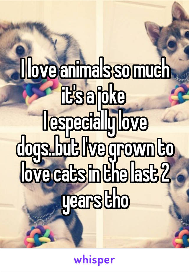 I love animals so much it's a joke 
I especially love dogs..but I've grown to love cats in the last 2 years tho