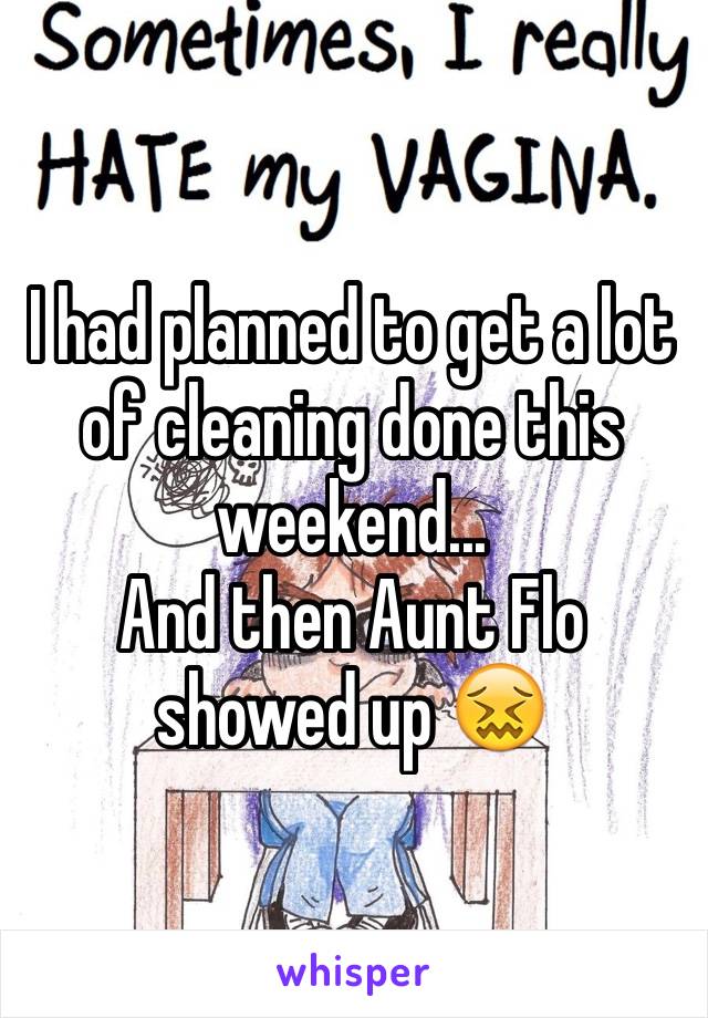 I had planned to get a lot of cleaning done this weekend...
And then Aunt Flo showed up 😖