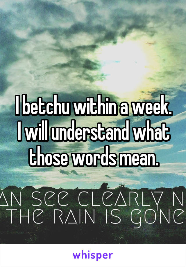 I betchu within a week. I will understand what those words mean.