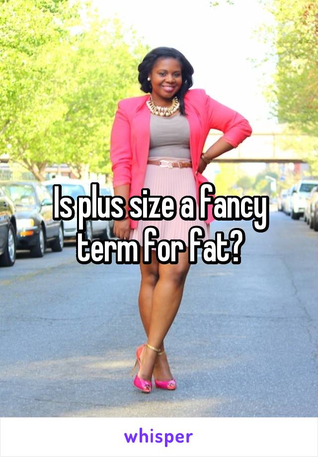 Is plus size a fancy term for fat?