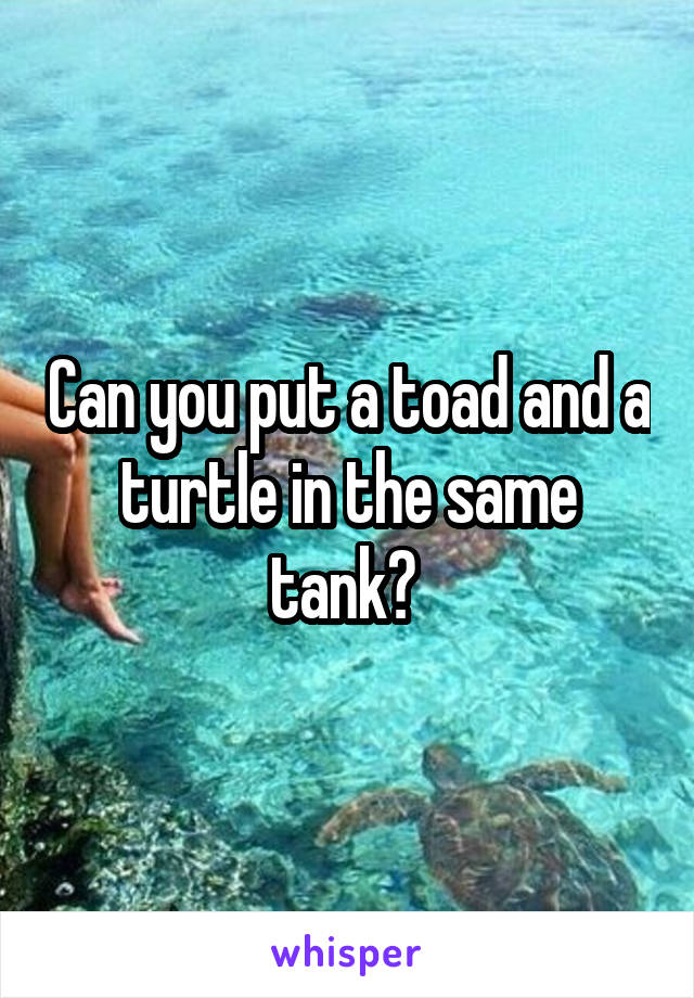 Can you put a toad and a turtle in the same tank? 