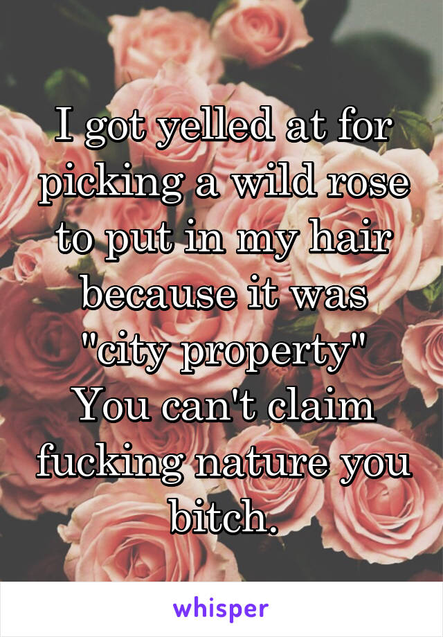 I got yelled at for picking a wild rose to put in my hair because it was "city property"
You can't claim fucking nature you bitch.