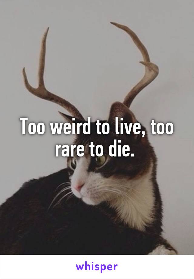 Too weird to live, too rare to die. 