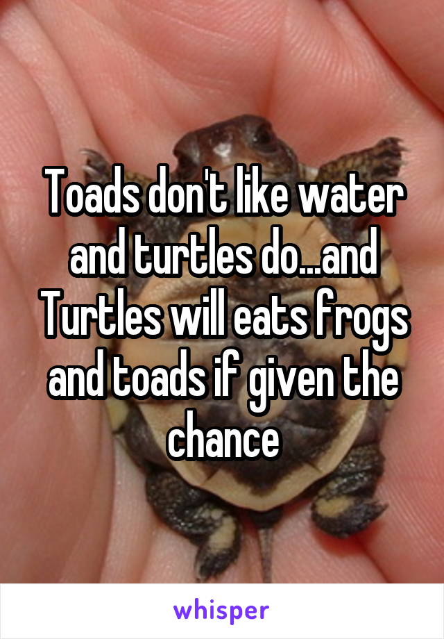 Toads don't like water and turtles do...and Turtles will eats frogs and toads if given the chance