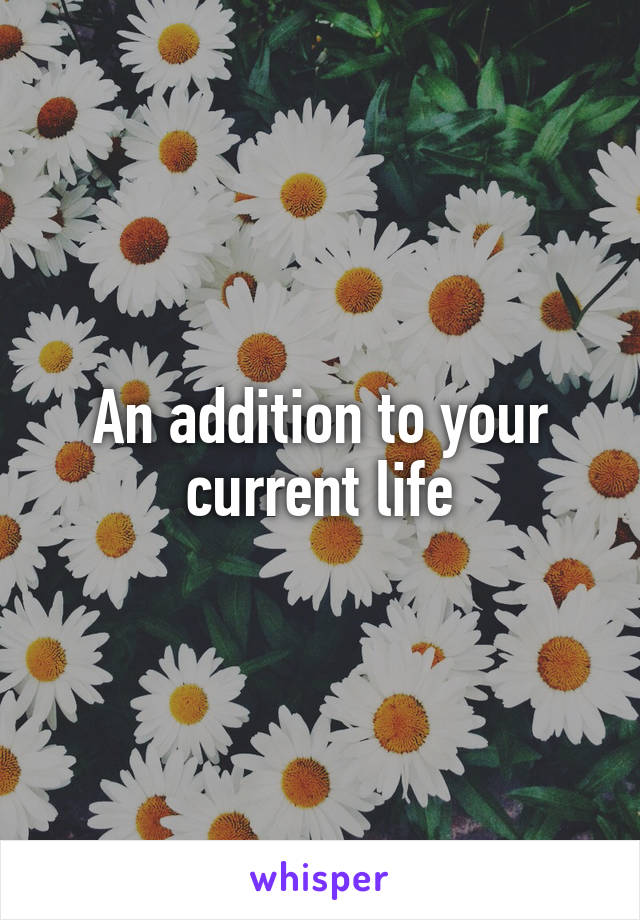 An addition to your current life