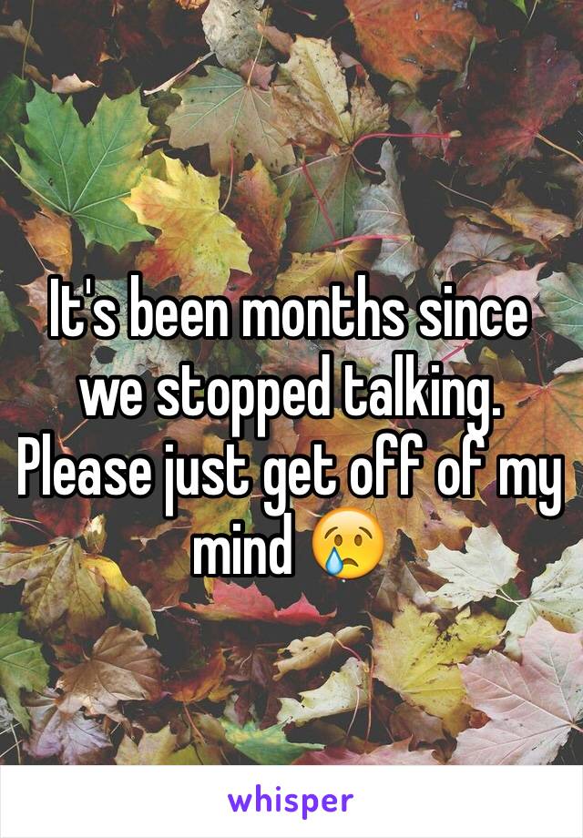 It's been months since we stopped talking. Please just get off of my mind 😢