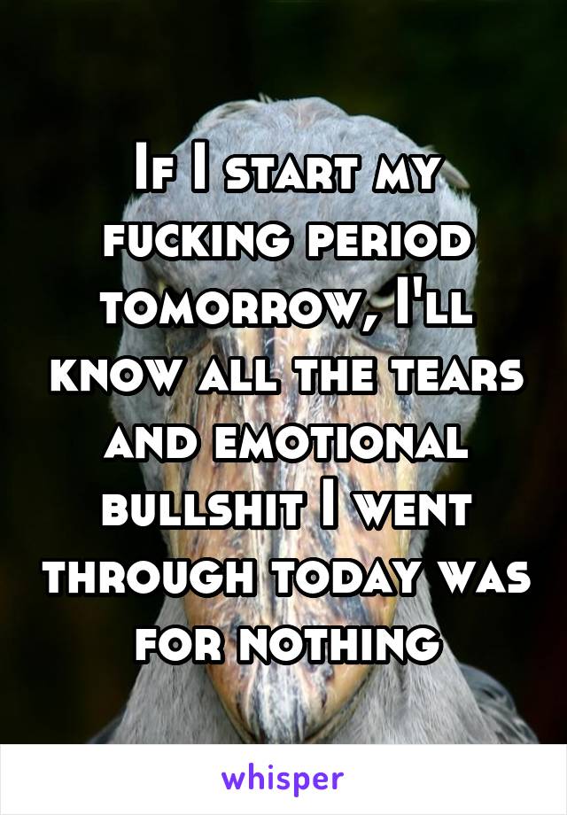 If I start my fucking period tomorrow, I'll know all the tears and emotional bullshit I went through today was for nothing