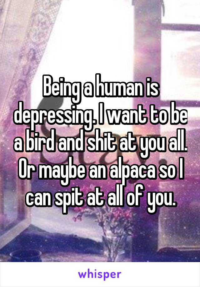 Being a human is depressing. I want to be a bird and shit at you all. Or maybe an alpaca so I can spit at all of you.