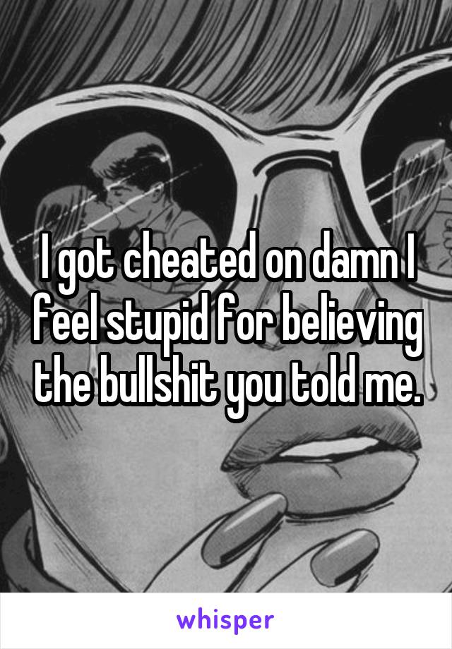 I got cheated on damn I feel stupid for believing the bullshit you told me.