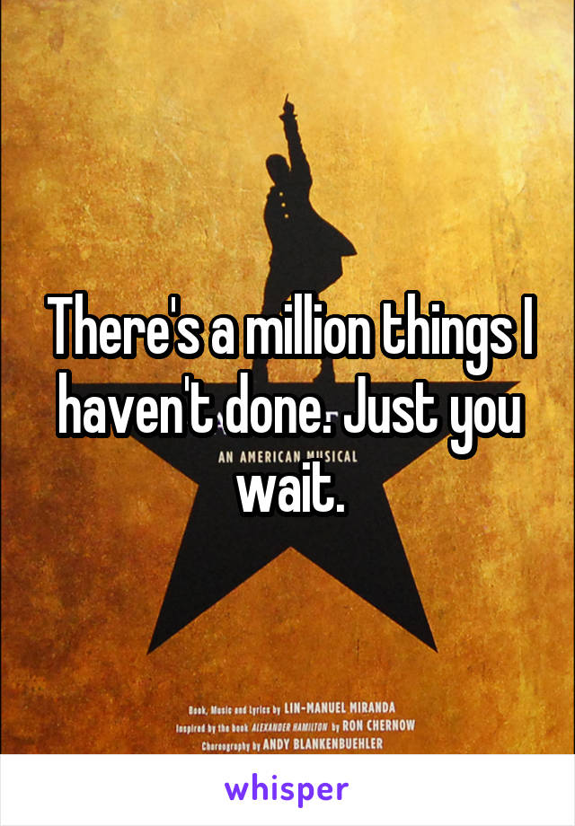 There's a million things I haven't done. Just you wait.