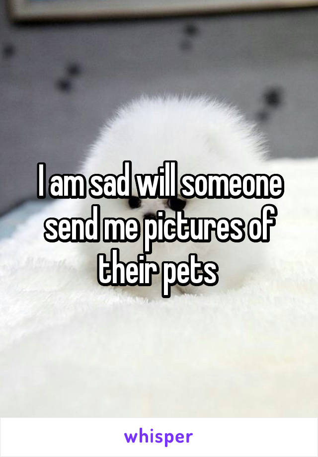 I am sad will someone send me pictures of their pets 