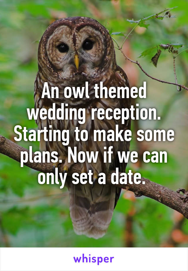 An owl themed wedding reception. Starting to make some plans. Now if we can only set a date. 