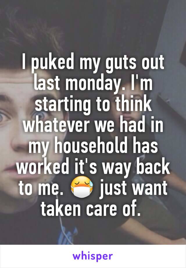 I puked my guts out last monday. I'm starting to think whatever we had in my household has worked it's way back to me. 😷 just want taken care of. 