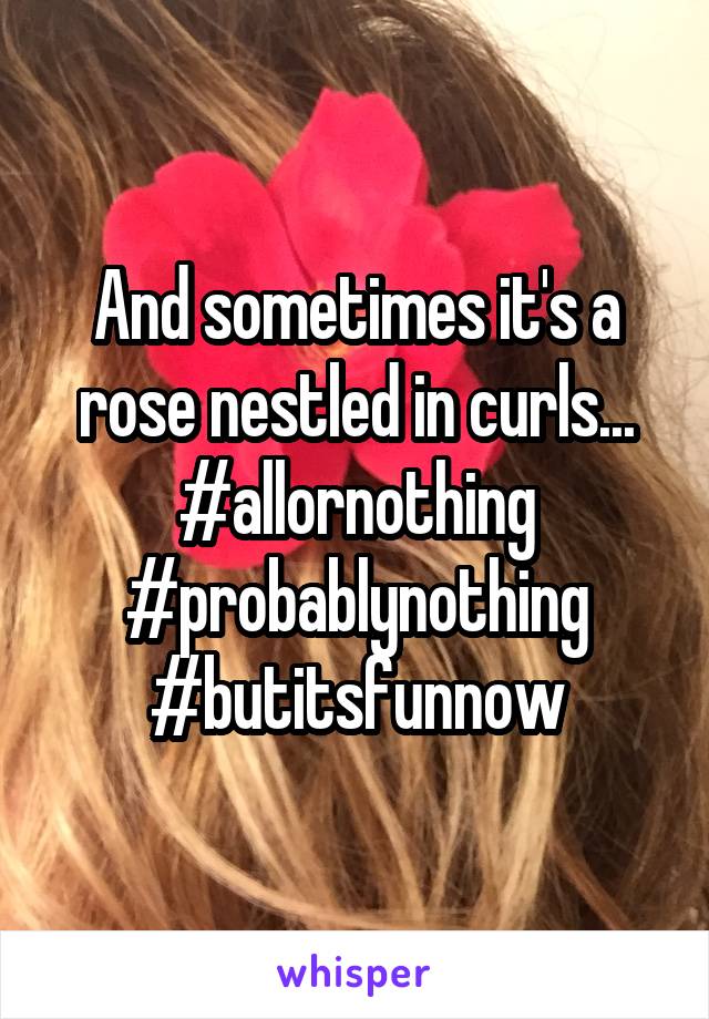 And sometimes it's a rose nestled in curls...
#allornothing
#probablynothing
#butitsfunnow