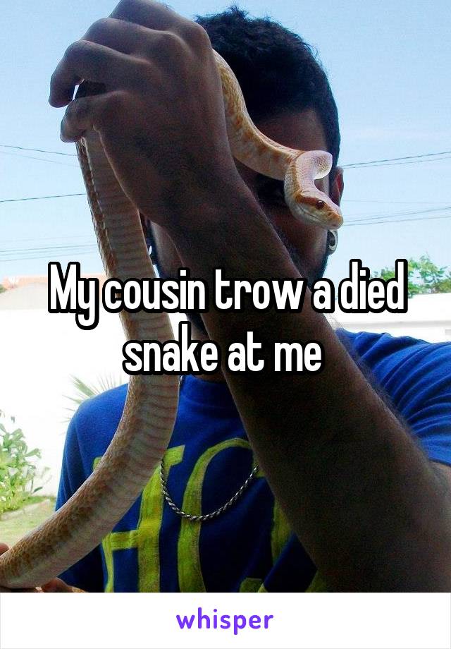 My cousin trow a died snake at me 