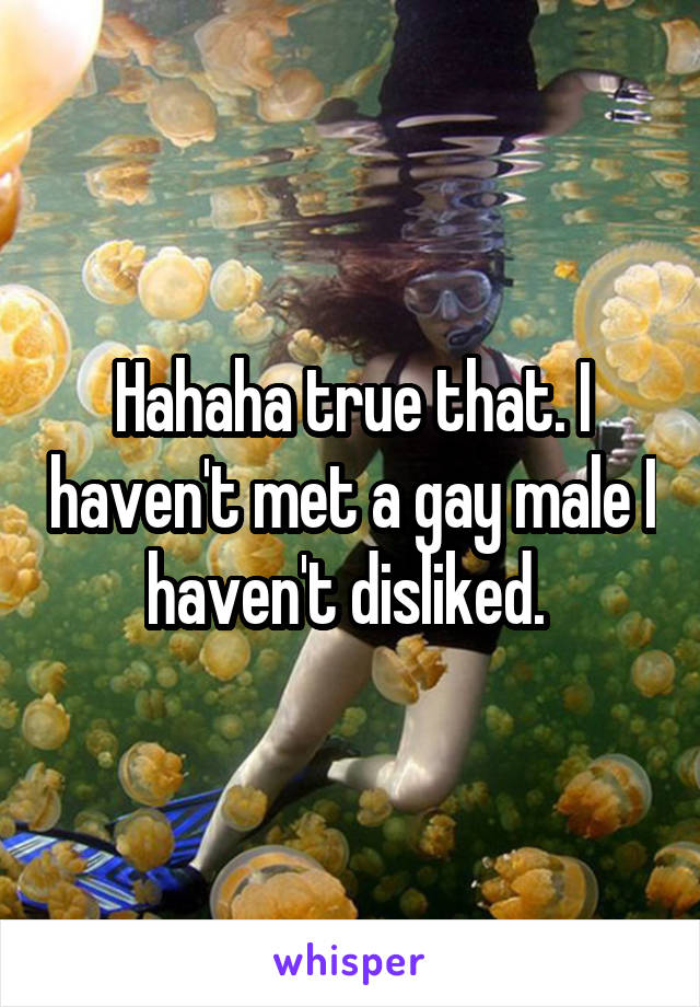 Hahaha true that. I haven't met a gay male I haven't disliked. 