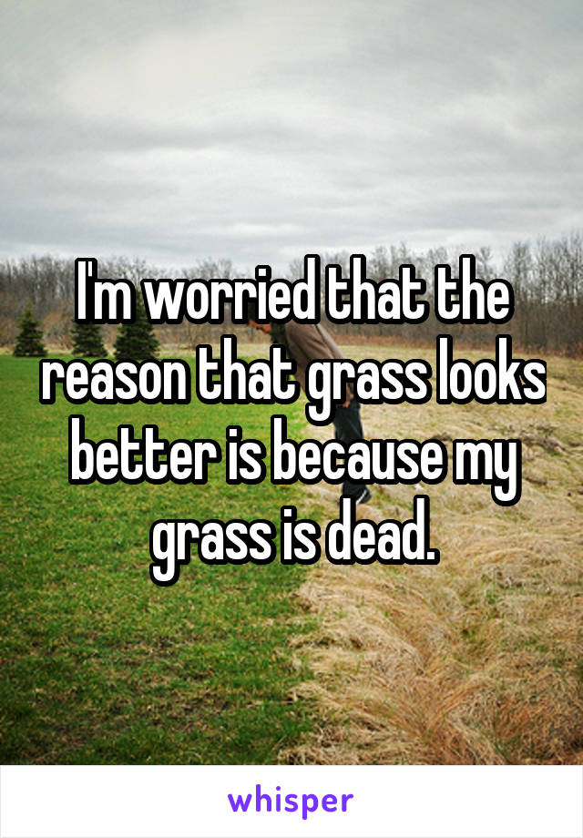 I'm worried that the reason that grass looks better is because my grass is dead.