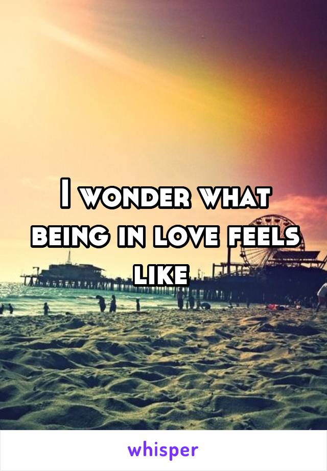 I wonder what being in love feels like 