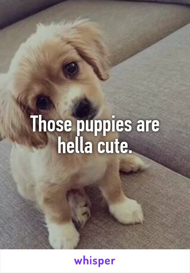 Those puppies are hella cute.