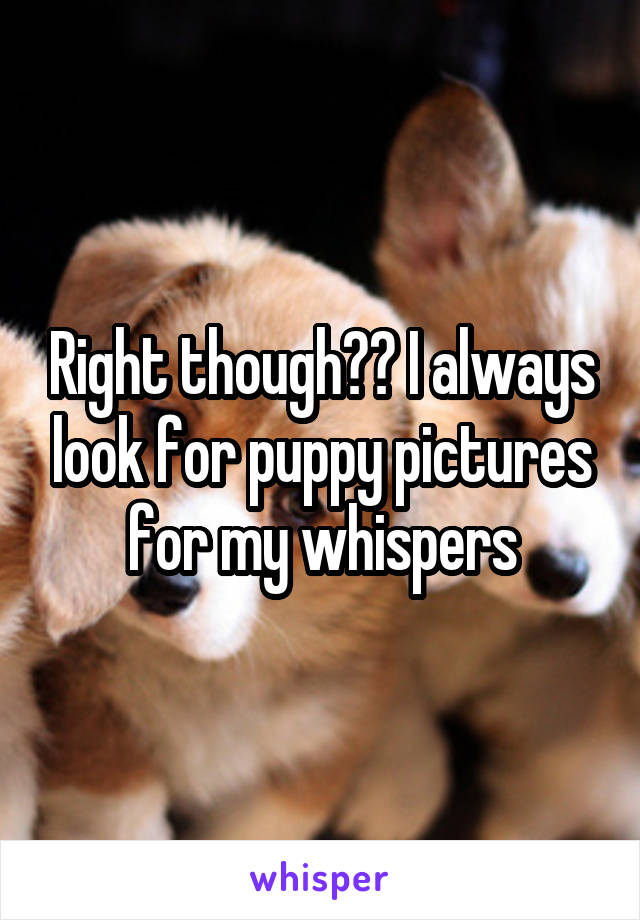 Right though?? I always look for puppy pictures for my whispers