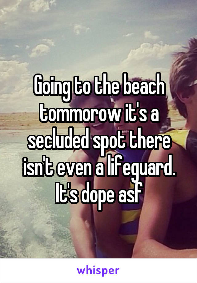 Going to the beach tommorow it's a secluded spot there isn't even a lifeguard. It's dope asf