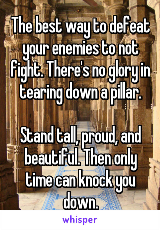 The best way to defeat your enemies to not fight. There's no glory in tearing down a pillar.

Stand tall, proud, and beautiful. Then only time can knock you down.