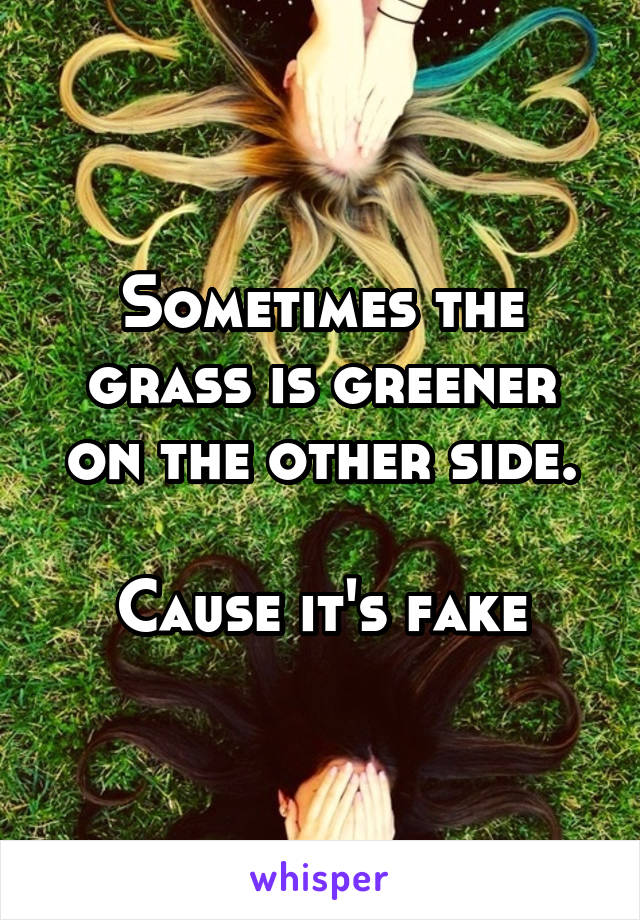 Sometimes the grass is greener on the other side.

Cause it's fake