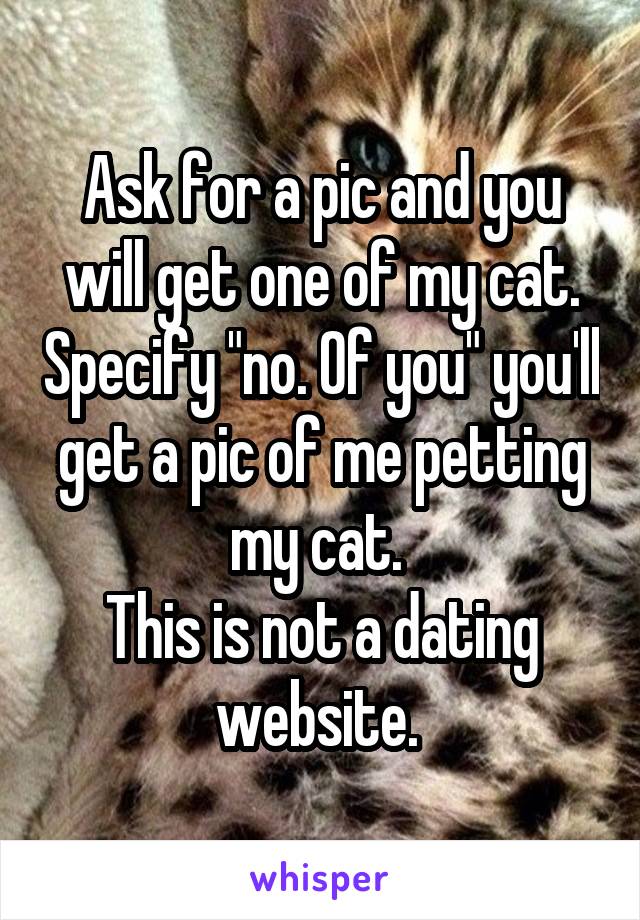 Ask for a pic and you will get one of my cat. Specify "no. Of you" you'll get a pic of me petting my cat. 
This is not a dating website. 