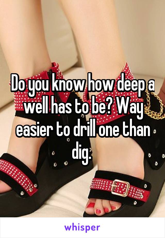 Do you know how deep a well has to be? Way easier to drill one than dig. 