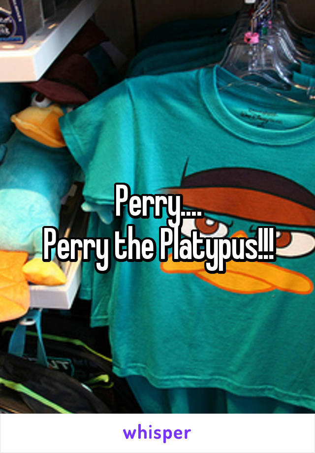 Perry....
Perry the Platypus!!!