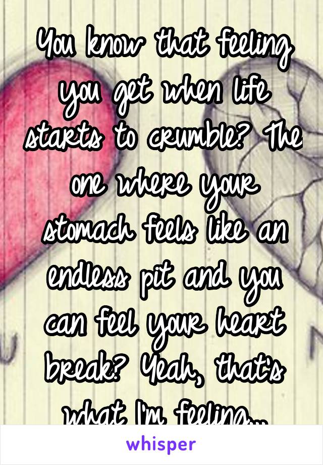 You know that feeling you get when life starts to crumble? The one where your stomach feels like an endless pit and you can feel your heart break? Yeah, that's what I'm feeling...