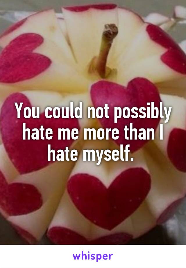 You could not possibly hate me more than I hate myself. 