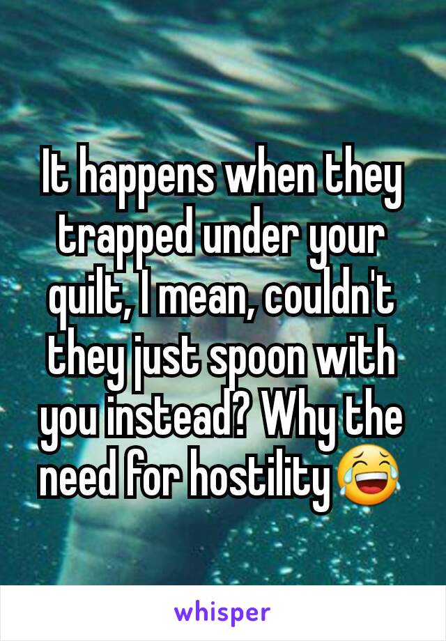 It happens when they trapped under your quilt, I mean, couldn't they just spoon with you instead? Why the need for hostility😂