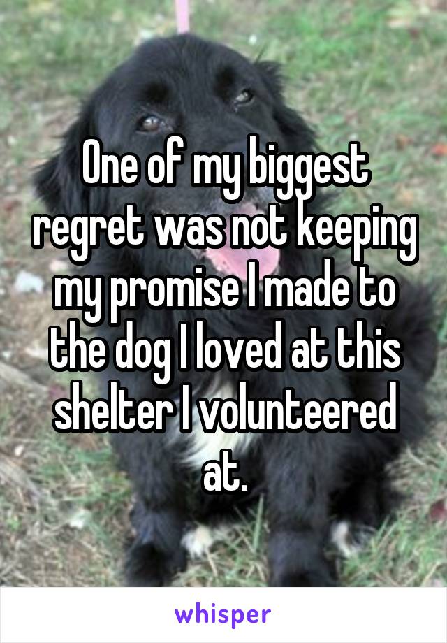 One of my biggest regret was not keeping my promise I made to the dog I loved at this shelter I volunteered at.