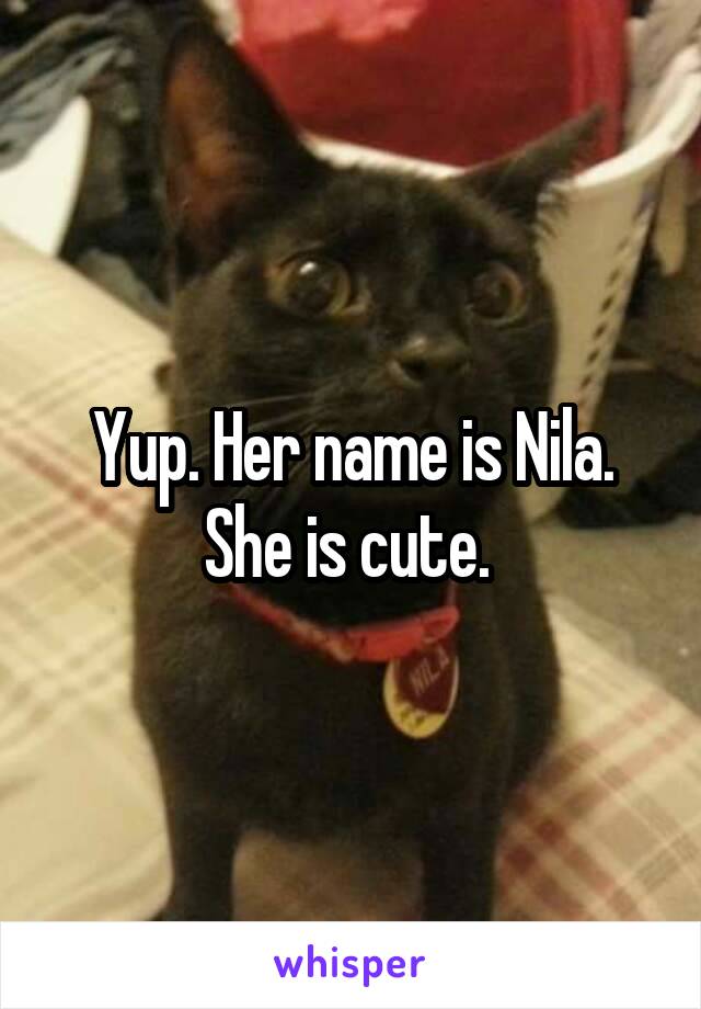 Yup. Her name is Nila. She is cute. 