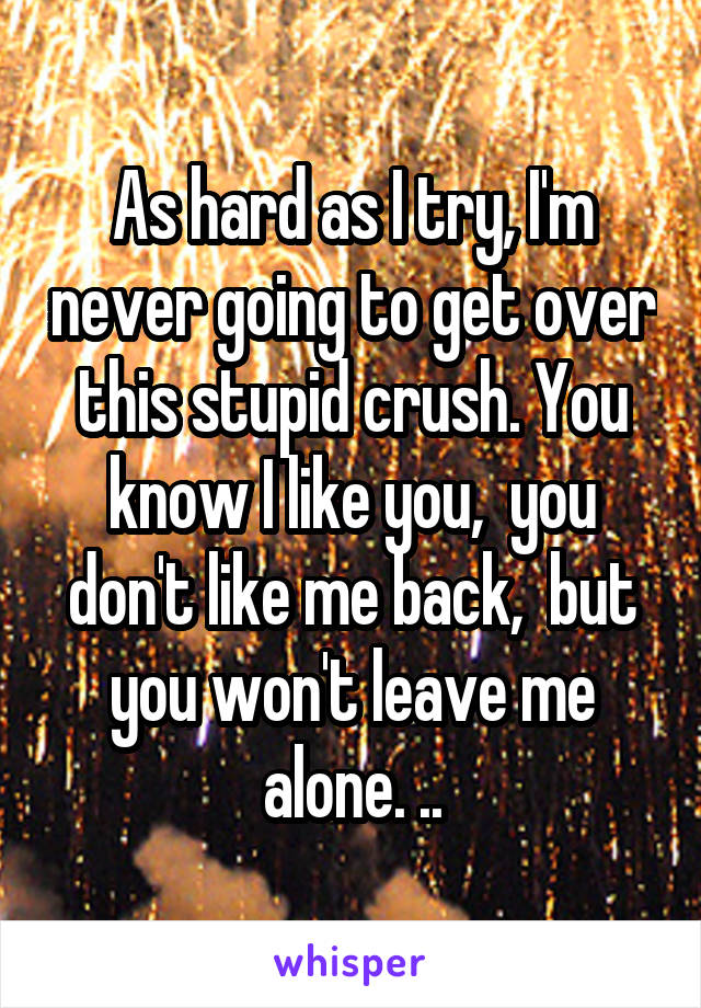 As hard as I try, I'm never going to get over this stupid crush. You know I like you,  you don't like me back,  but you won't leave me alone. ..