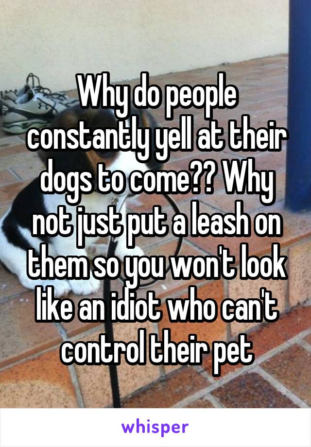 Why do people constantly yell at their dogs to come?? Why not just put a leash on them so you won't look like an idiot who can't control their pet