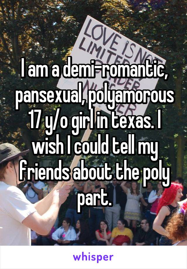 I am a demi-romantic, pansexual, polyamorous 17 y/o girl in texas. I wish I could tell my friends about the poly part.