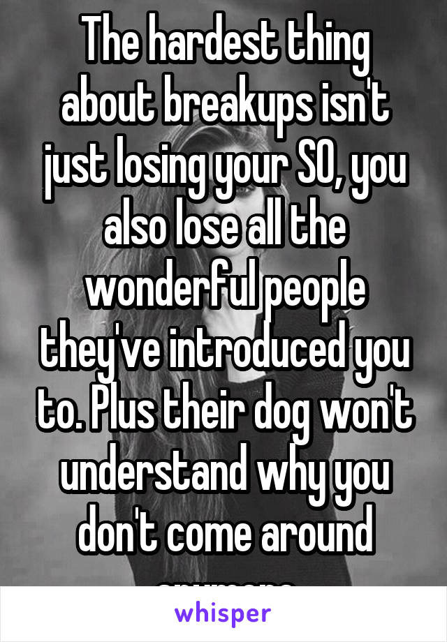 The hardest thing about breakups isn't just losing your SO, you also lose all the wonderful people they've introduced you to. Plus their dog won't understand why you don't come around anymore