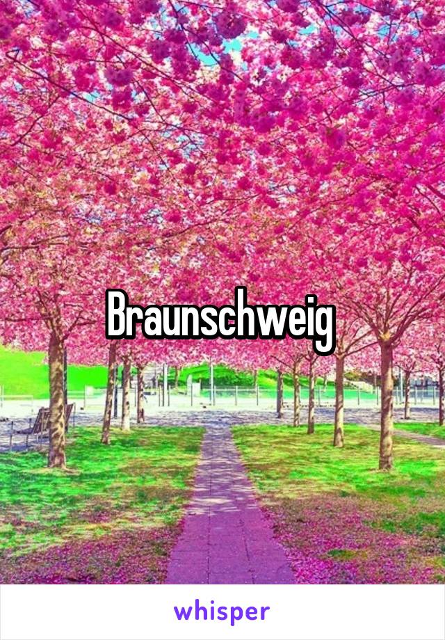 Braunschweig 