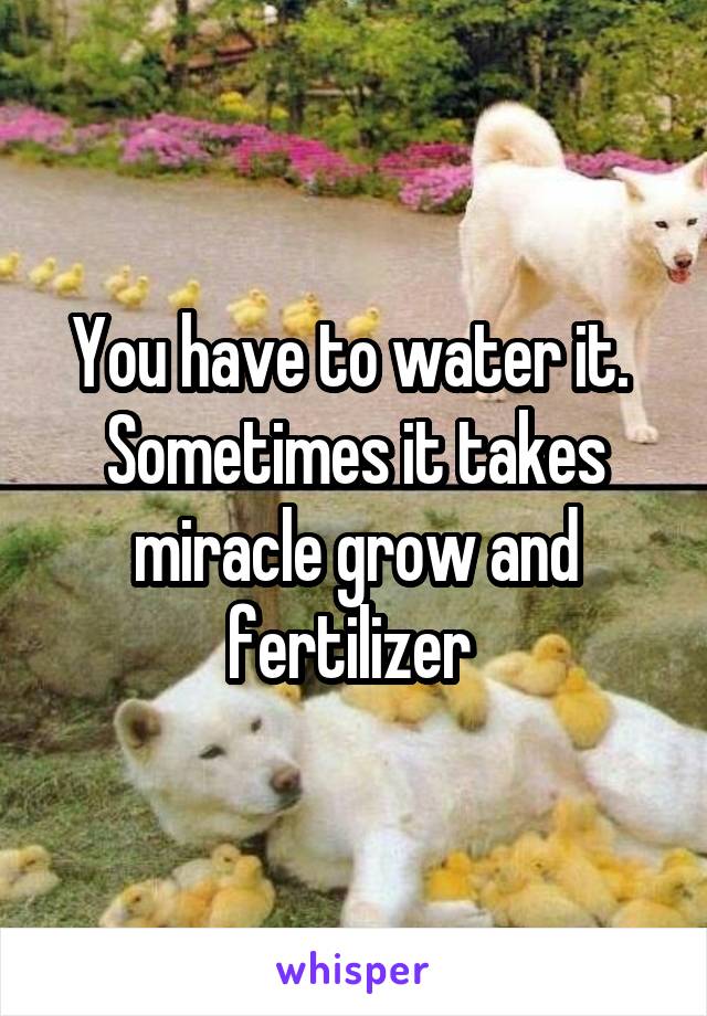 You have to water it. 
Sometimes it takes miracle grow and fertilizer 