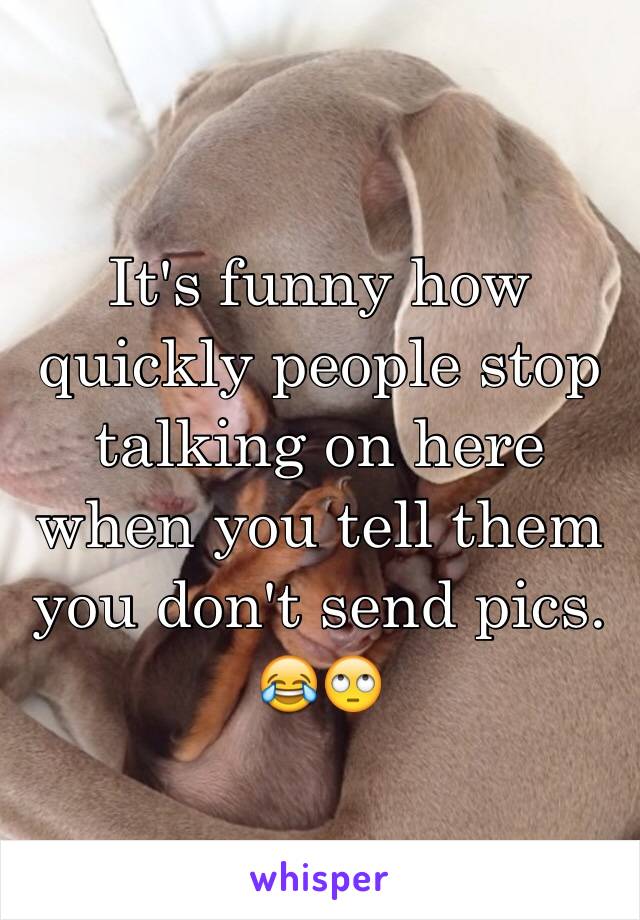 It's funny how quickly people stop talking on here when you tell them you don't send pics. 😂🙄