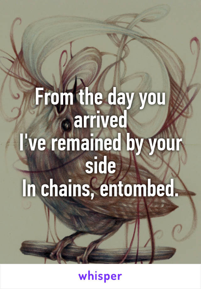 From the day you arrived
I've remained by your side
In chains, entombed.