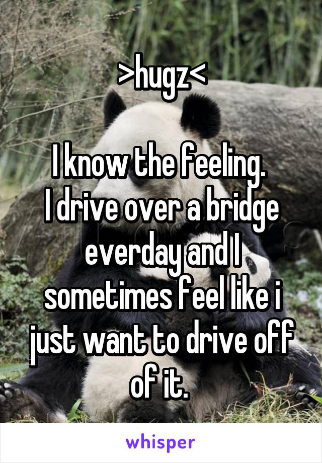 >hugz<

I know the feeling. 
I drive over a bridge everday and I sometimes feel like i just want to drive off of it. 