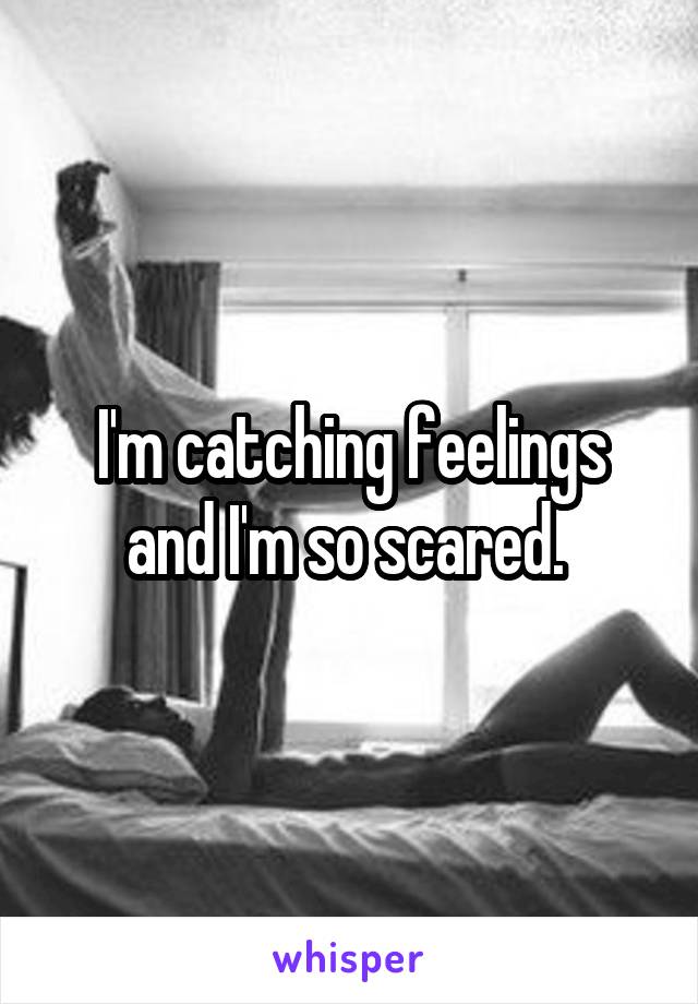 I'm catching feelings and I'm so scared. 